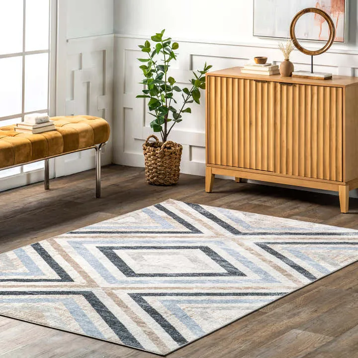 Reeba Washable Distressed Rug