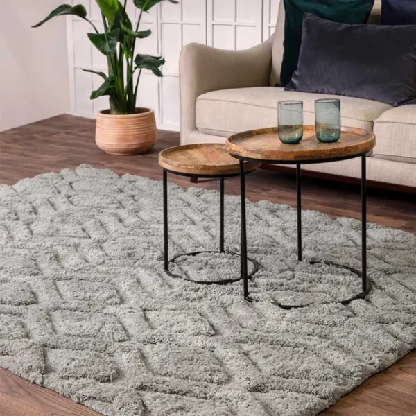 Harrison 3D Shaggy Rug in Room