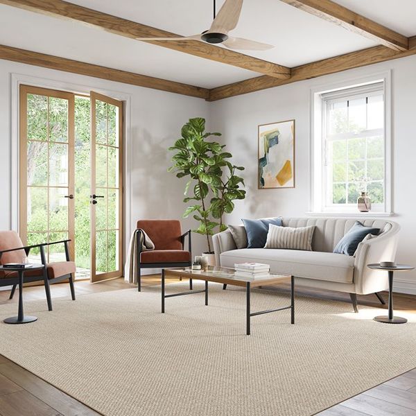 Sisal Rug in elegant living room