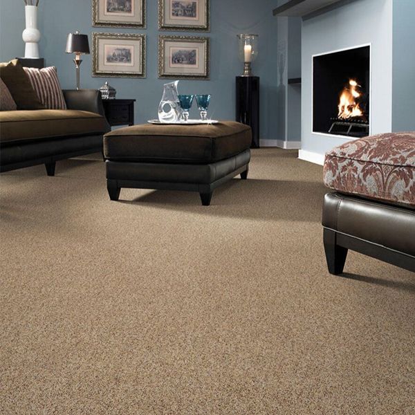 Textured beige wool carpet in stylish living room