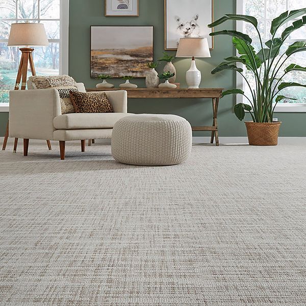 Contemporary lounge with neutral wall to wall carpet