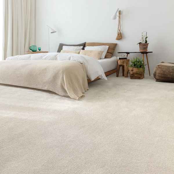 Minimalist bedroom with beige wall to wall carpet