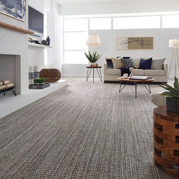 Modern living room with fitted carpet flooring