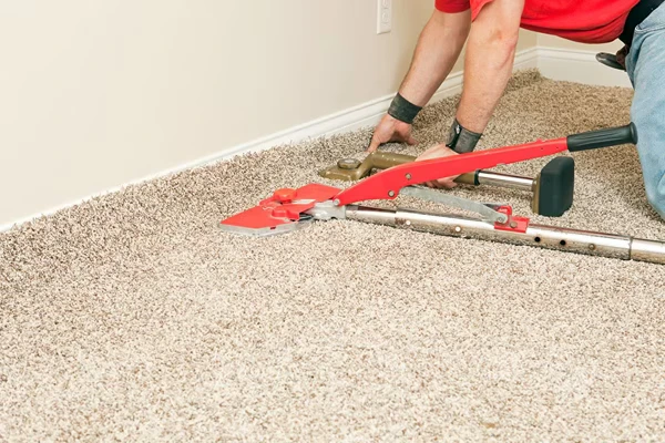 Our Expert Installing Wall To Wall Carpet in Room